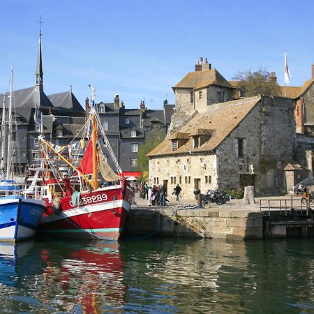 Studio Meuble Jacynthe Proche Le Havre - Etretat - Honfleur Saint-Romain-de-Colbosc Εξωτερικό φωτογραφία